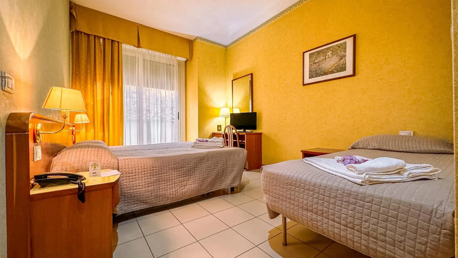 Hotel Remin Plaza Rimini