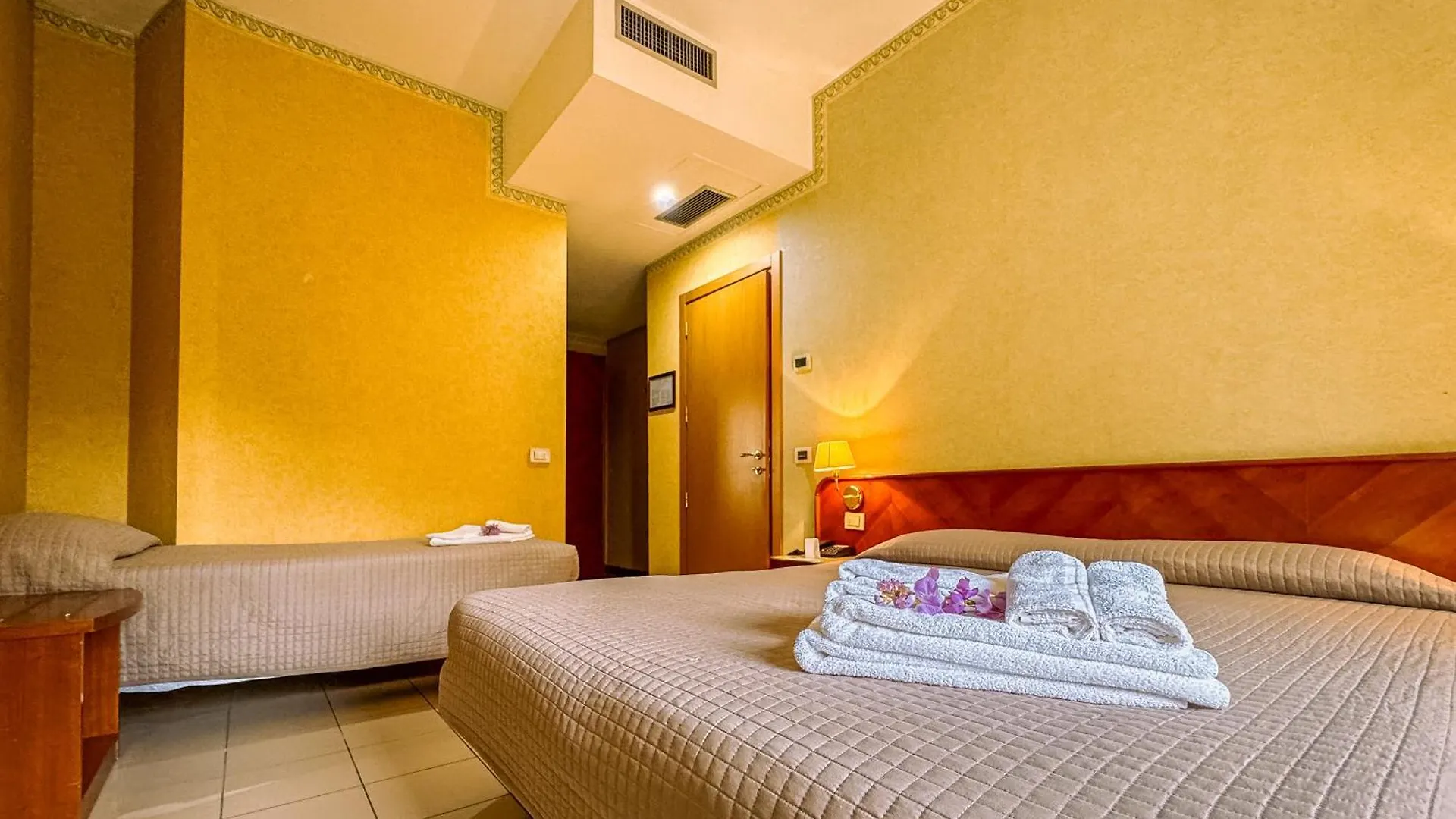 Hotel Remin Plaza Rimini